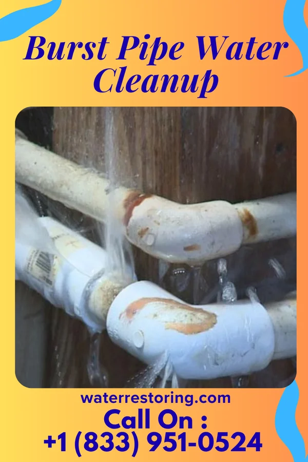 Burst Pipe Water Cleanup in Hackleburg, AL
