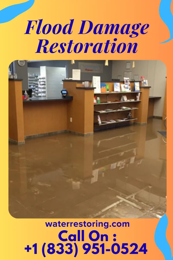 Flood Damage Restoration in Hackleburg, AL